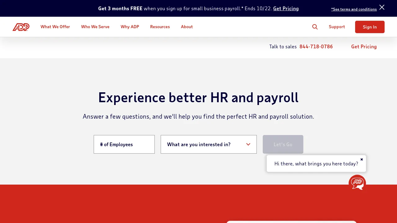 Screenshot of ADP website