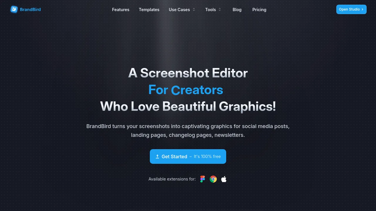 Screenshot of BrandBird website