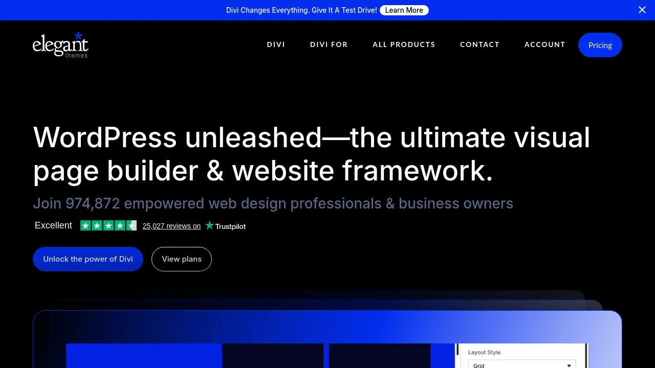 Screenshot of Divi website