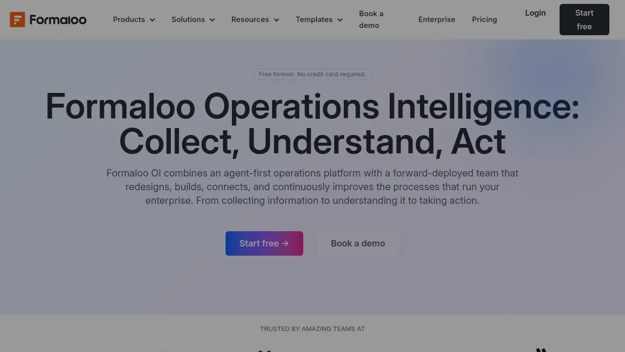 Screenshot of Formaloo website