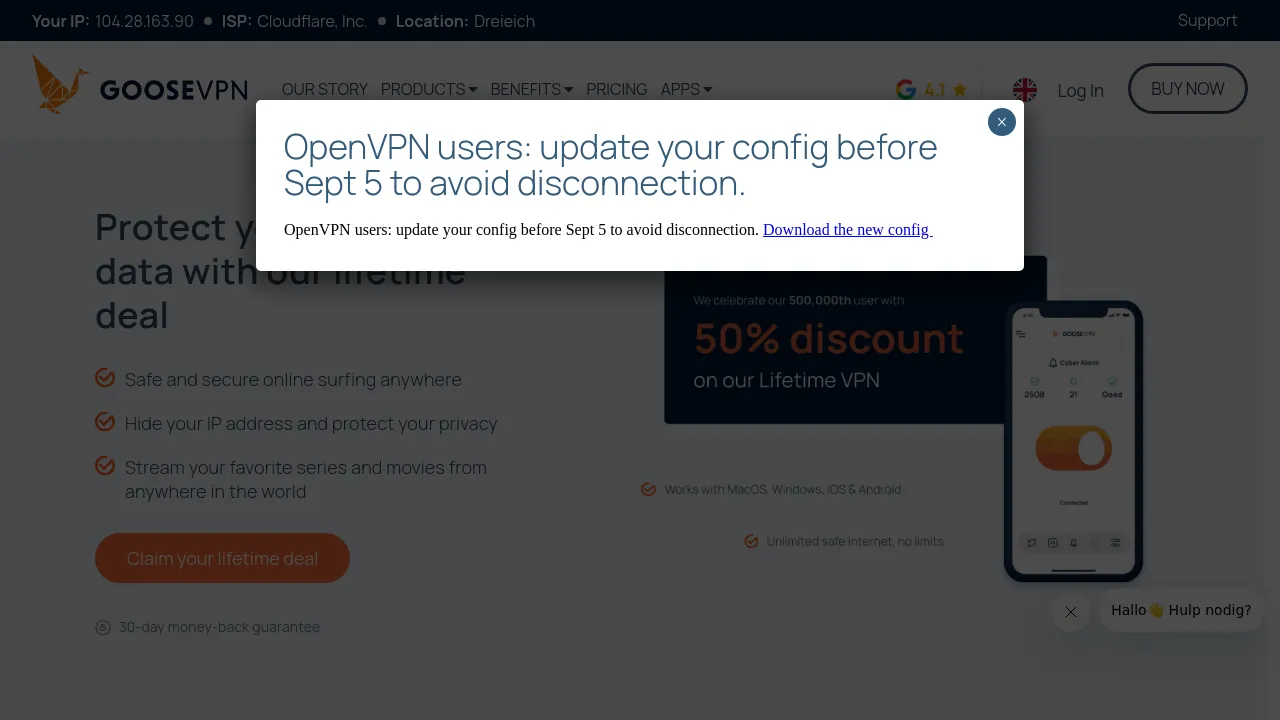 Screenshot of GOOSE VPN website