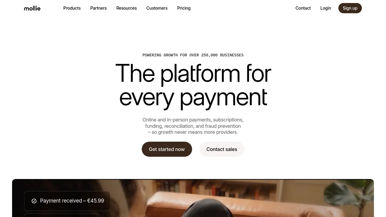 Screenshot of Mollie website