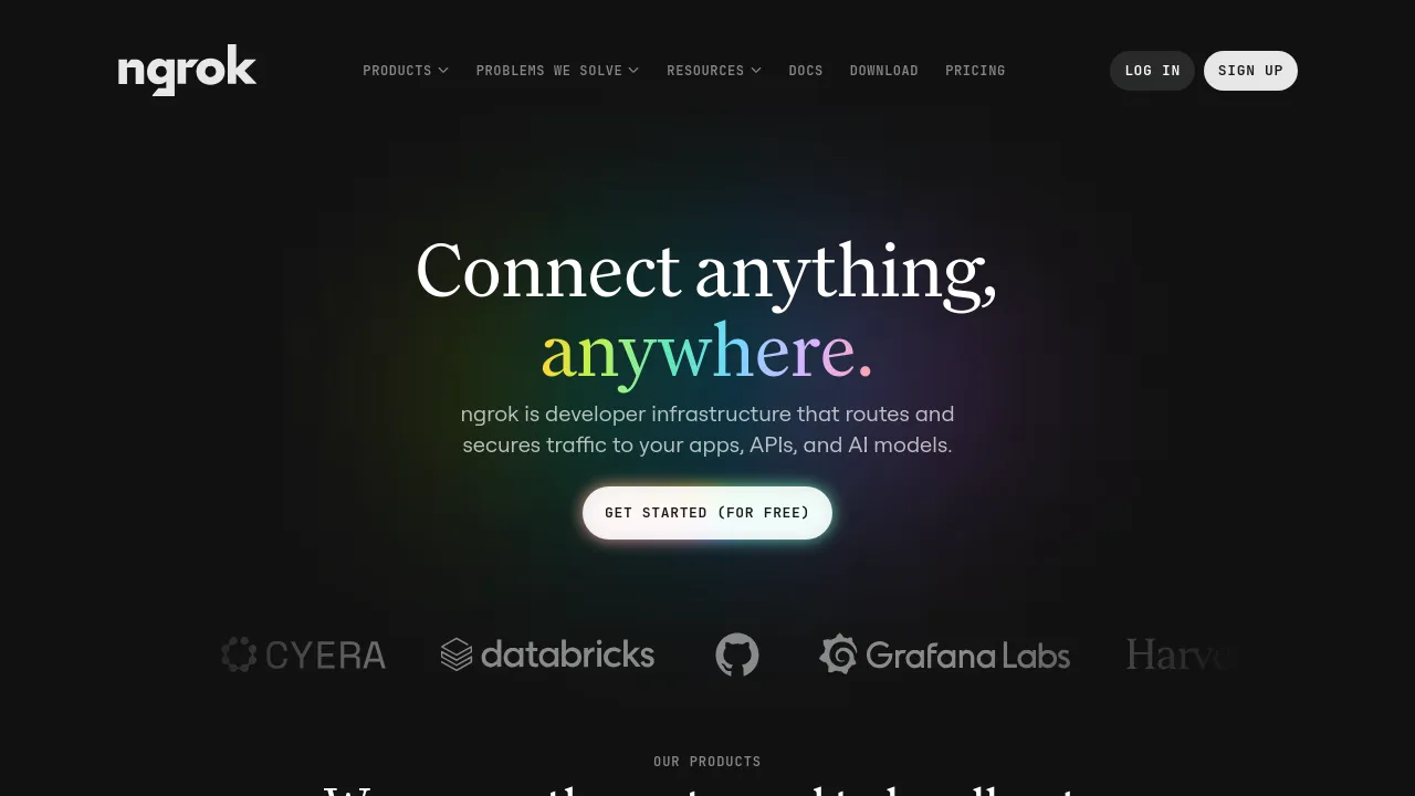 Screenshot of ngrok website