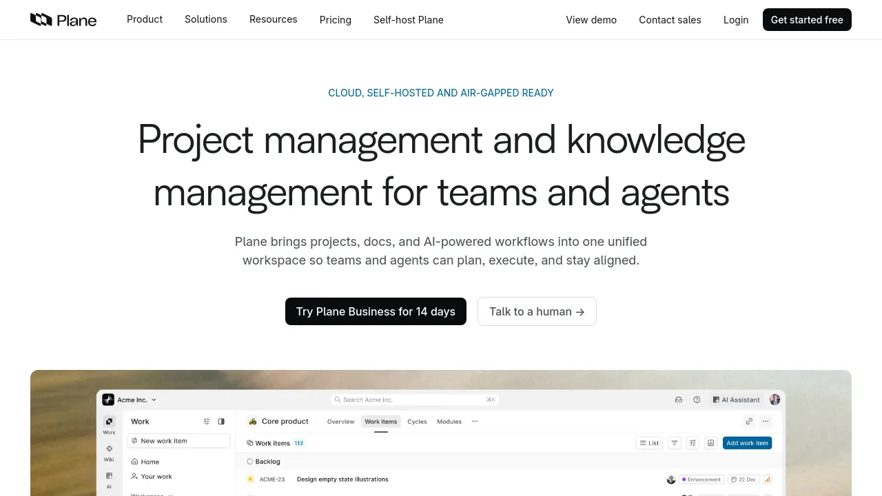 Screenshot of Plane website