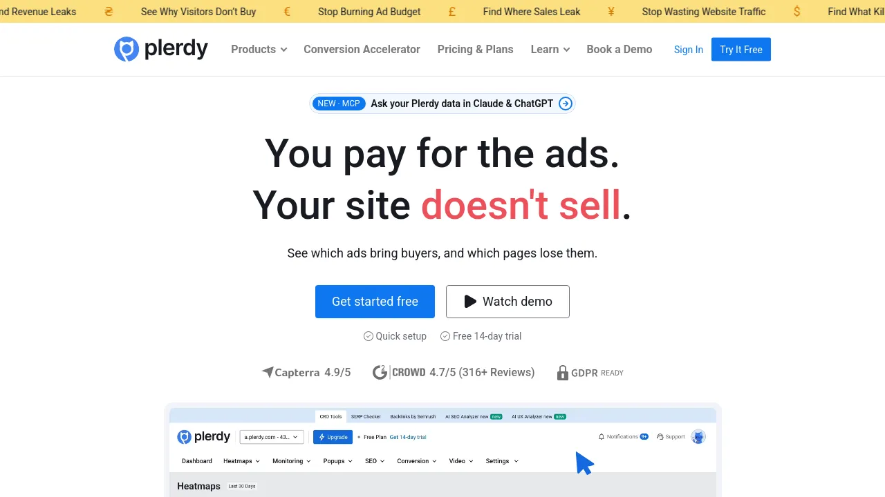 Screenshot of Plerdy website