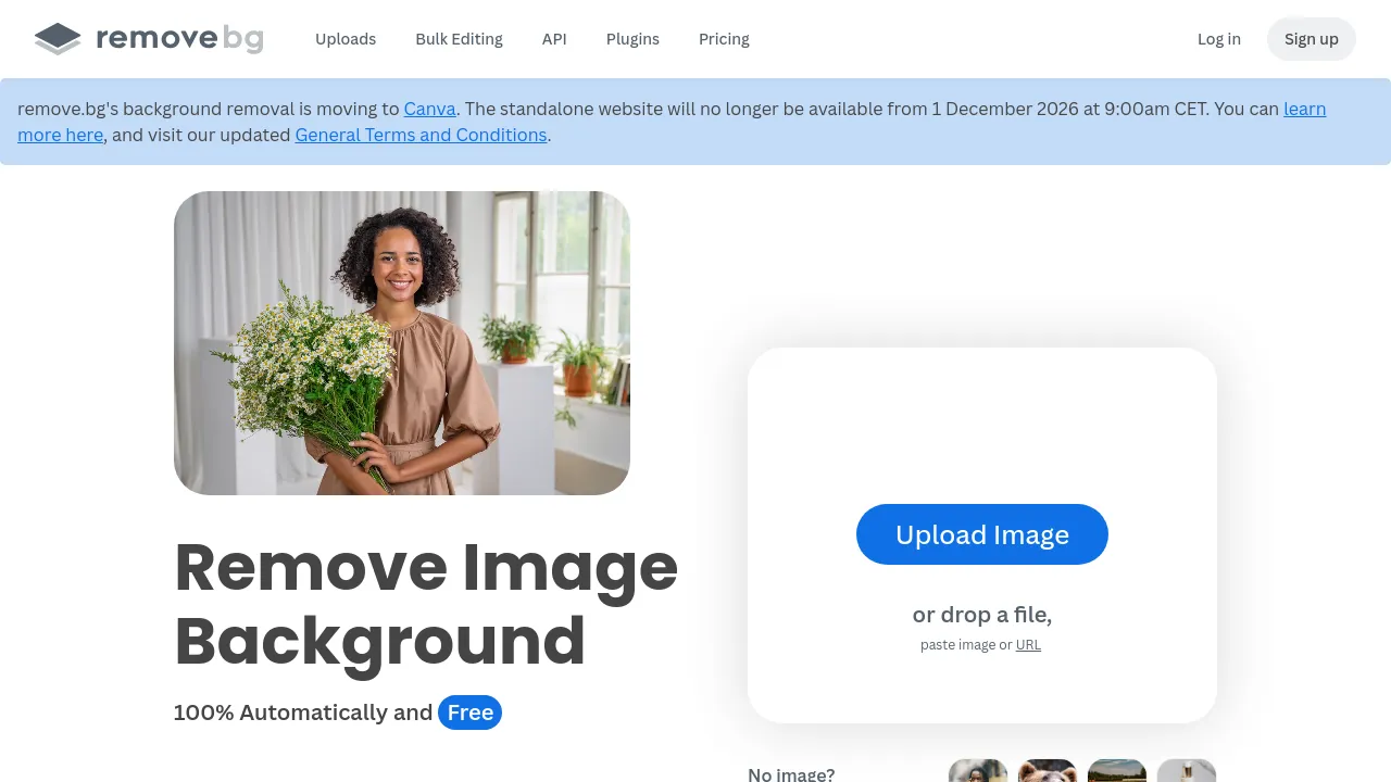 Screenshot of remove.bg website