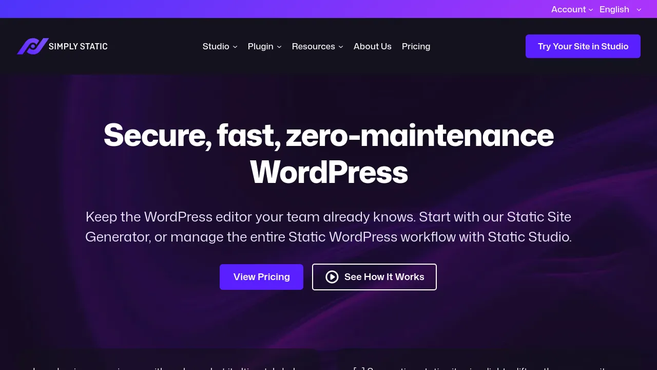 Screenshot of Simply Static website