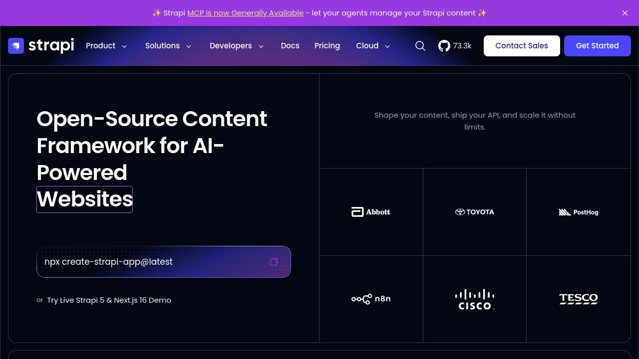 Screenshot of Strapi website