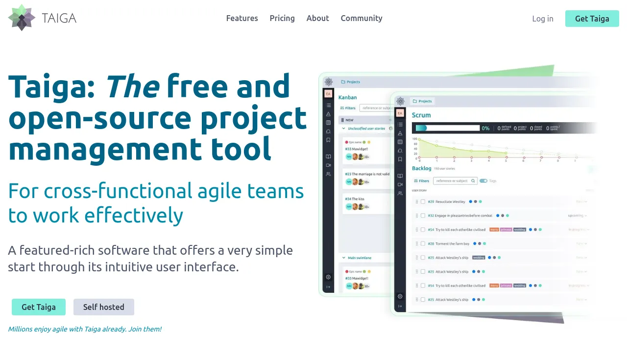 Screenshot of Taiga website
