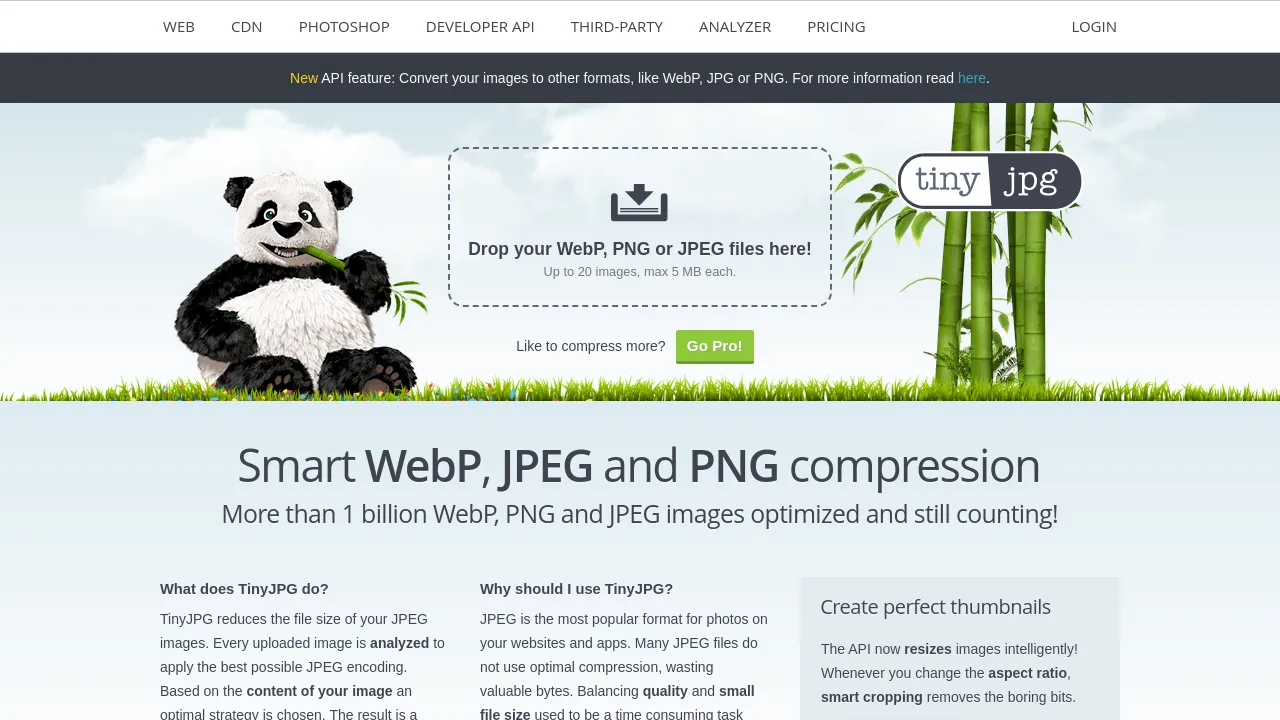 Screenshot of TinyJPG website