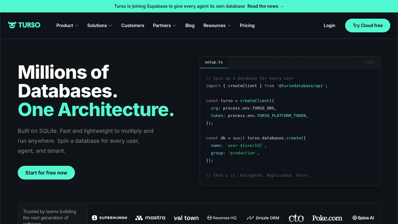 Screenshot of Turso website