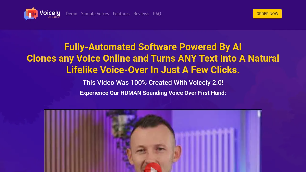 Screenshot of Voicely website