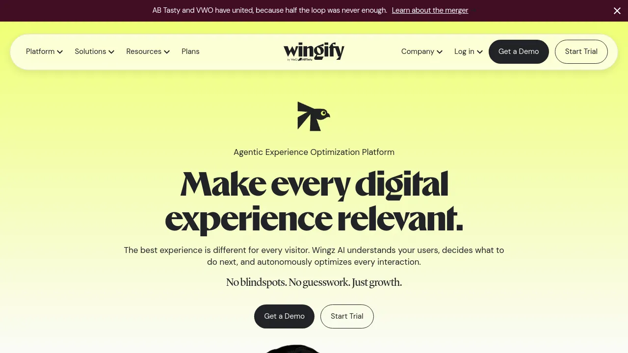 Screenshot of VWO website
